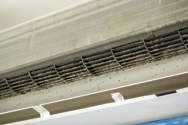 Best Affordable Air Duct Cleaning  in Columbus, TX