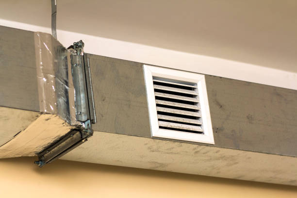 Best Air Duct Sanitizing Services  in Columbus, TX